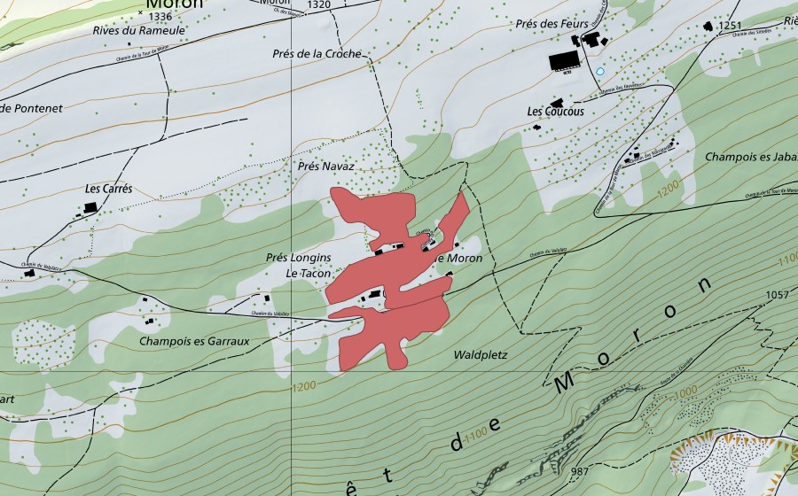 Carte nationale swisstopo avec le périmètre protégé de Le Tacon (Prairie sèche)