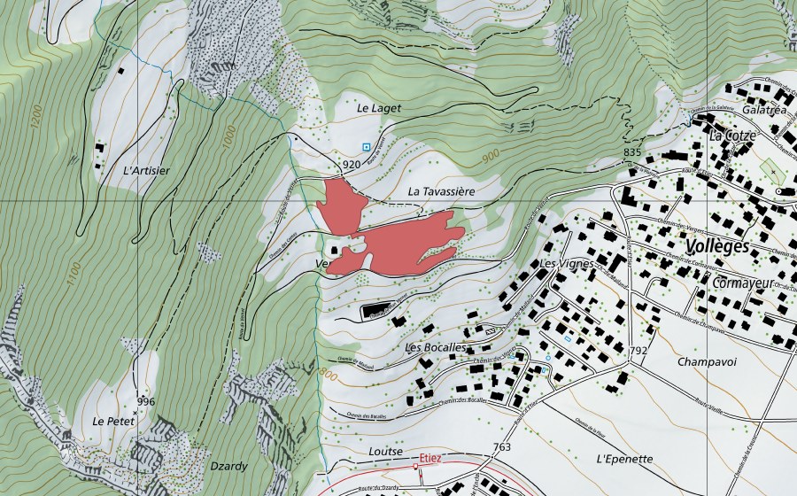 swisstopo national map showing the protected perimeter of Le Vernet (Dry meadow)