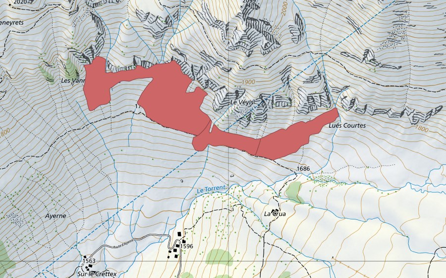 Landeskarte swisstopo mit dem Schutzperimeter von Le Vey (Trockenwiese)