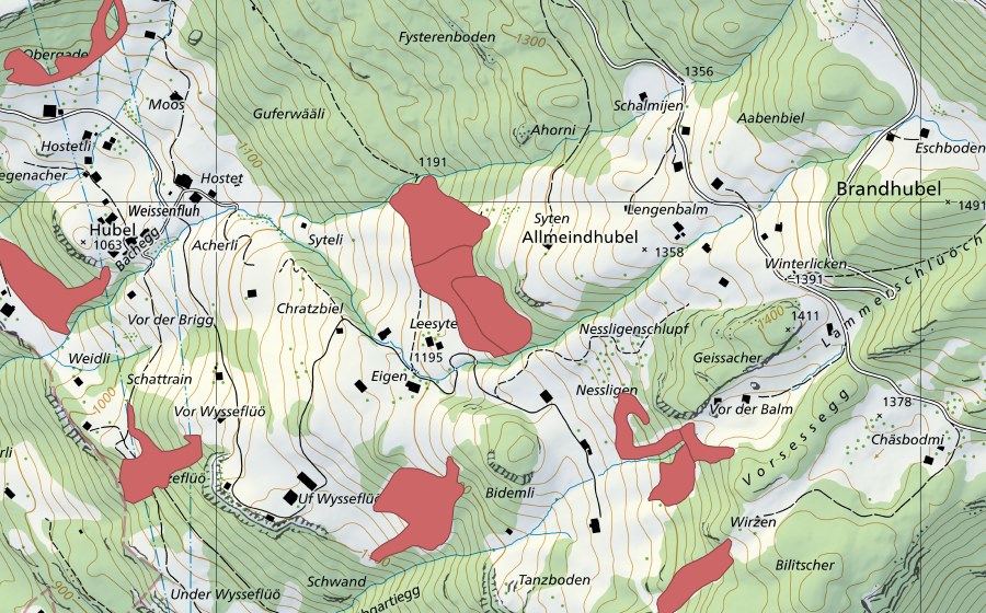 swisstopo national map showing the protected perimeter of Leesyten (Dry meadow)