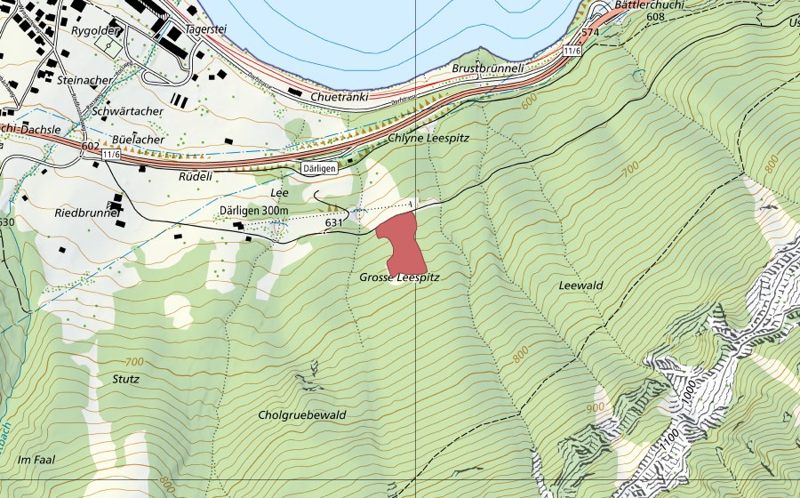 Landeskarte swisstopo mit dem Schutzperimeter von Leewald (Trockenwiese)