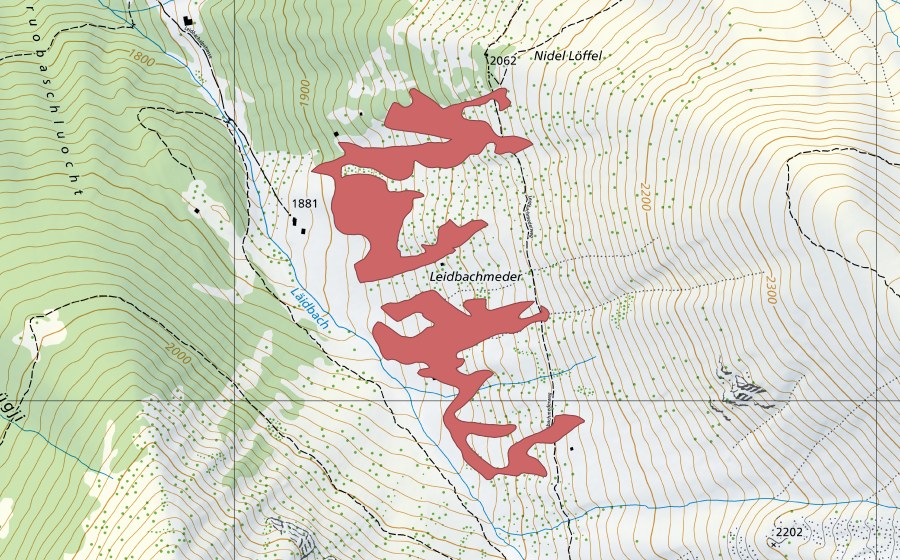 swisstopo national map showing the protected perimeter of Leibachmeder (Dry meadow)