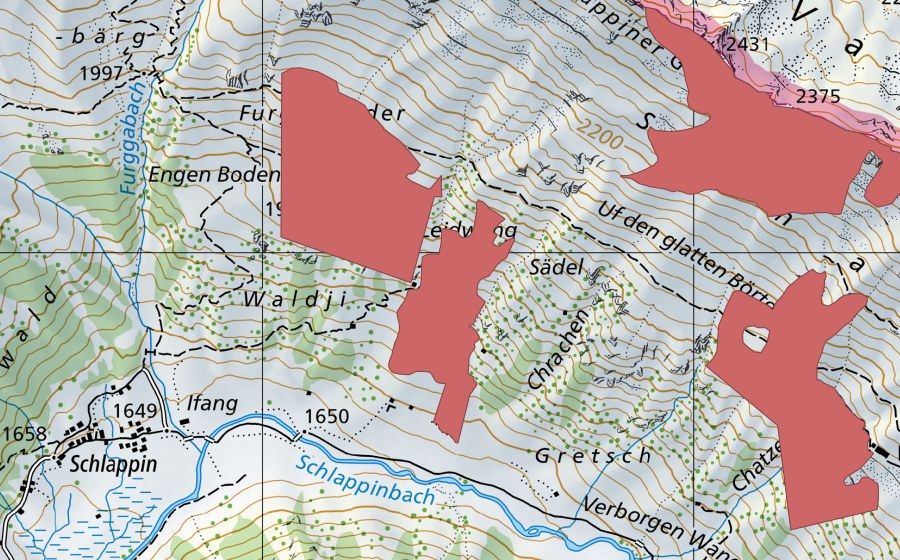 Landeskarte swisstopo mit dem Schutzperimeter von Leidwang (Trockenwiese)