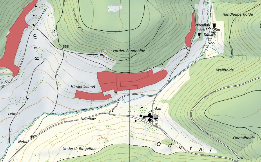 swisstopo national map showing the protected perimeter of Leimet (Dry meadow)