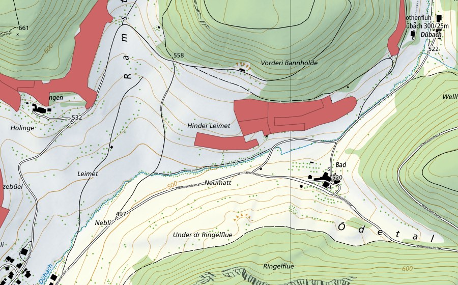 swisstopo national map showing the protected perimeter of Leimet (Dry meadow)