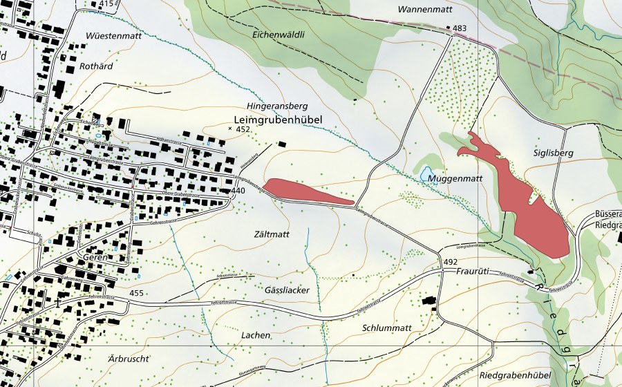 swisstopo national map showing the protected perimeter of Leimgruebenhübel (Dry meadow)
