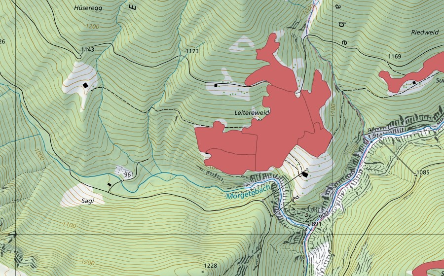 Carte nationale swisstopo avec le périmètre protégé de Leitereweideni (Prairie sèche)