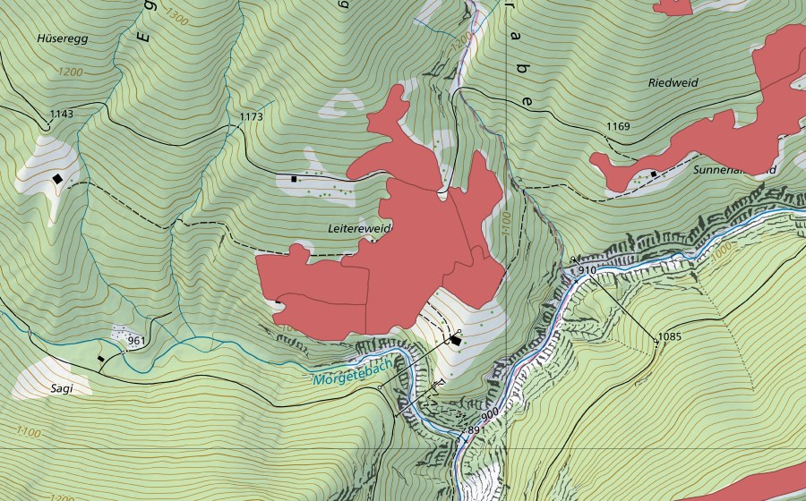Carte nationale swisstopo avec le périmètre protégé de Leitereweideni (Prairie sèche)