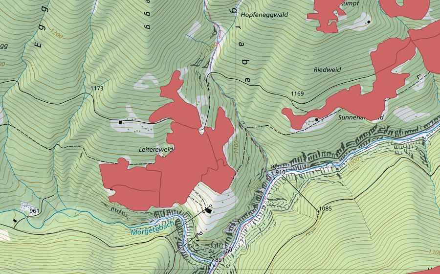 swisstopo national map showing the protected perimeter of Leitereweideni (Dry meadow)