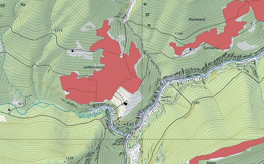 Carte nationale swisstopo avec le périmètre protégé de Leitereweideni (Prairie sèche)
