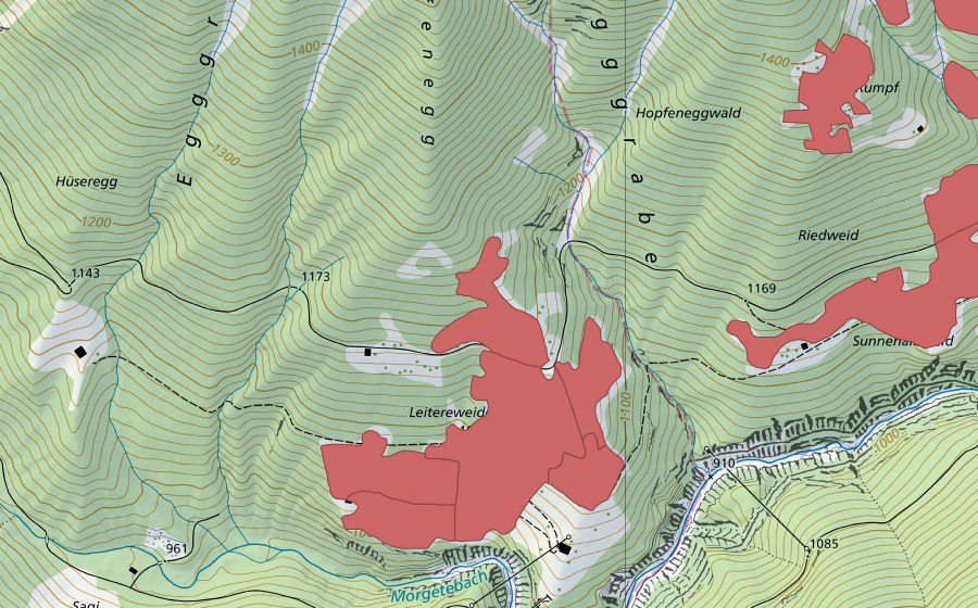 Carte nationale swisstopo avec le périmètre protégé de Leitereweideni (Prairie sèche)