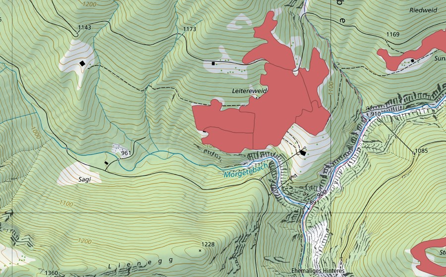 swisstopo national map showing the protected perimeter of Leitereweideni (Dry meadow)