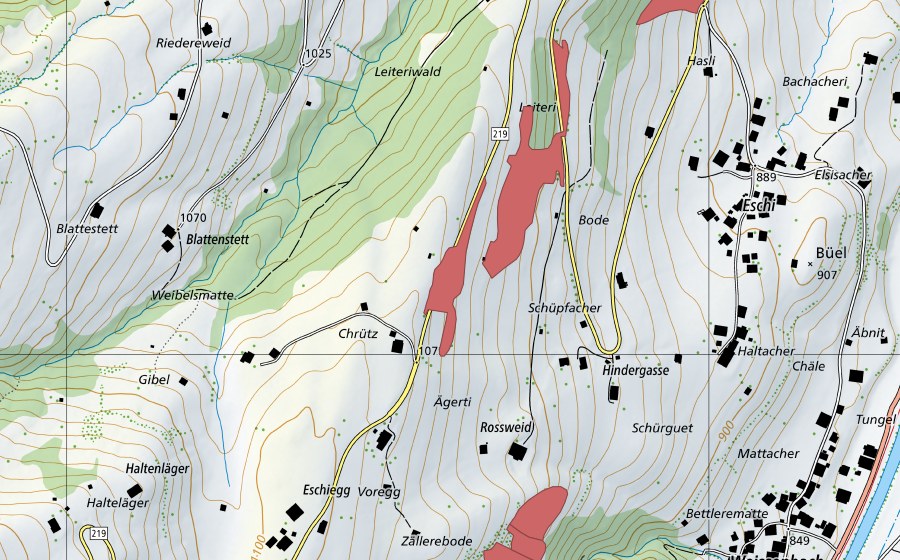 swisstopo national map showing the protected perimeter of Leiteri (Dry meadow)
