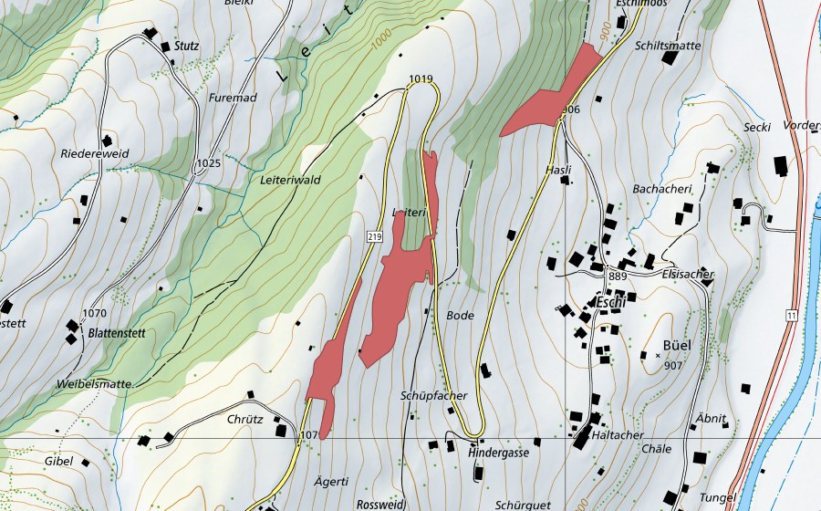 swisstopo national map showing the protected perimeter of Leiteri (Dry meadow)