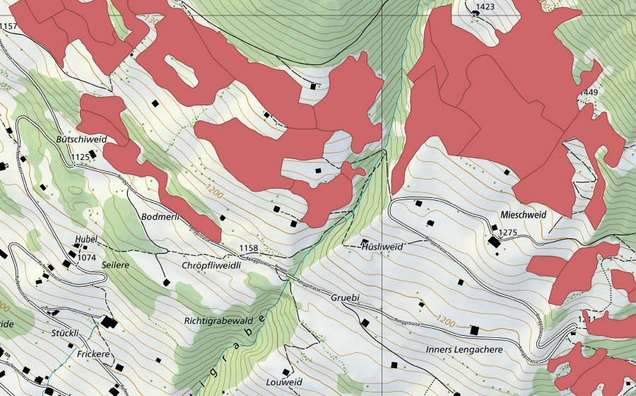 Landeskarte swisstopo mit dem Schutzperimeter von Lengachere (Trockenwiese)