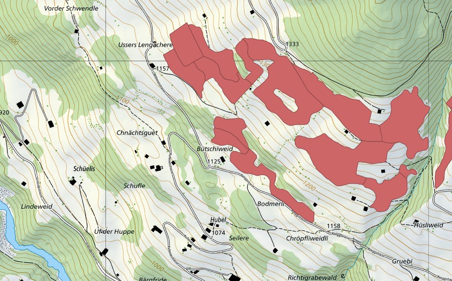 Landeskarte swisstopo mit dem Schutzperimeter von Lengachere (Trockenwiese)