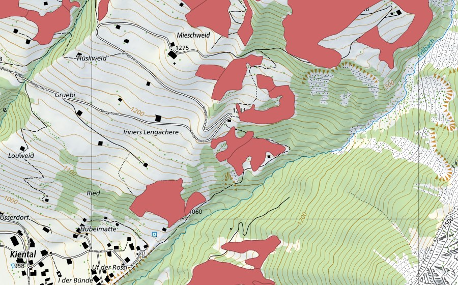swisstopo national map showing the protected perimeter of Lengachere (Dry meadow)