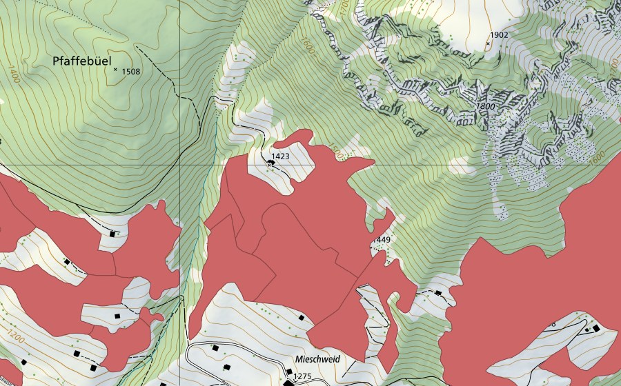 swisstopo national map showing the protected perimeter of Lengachere (Dry meadow)