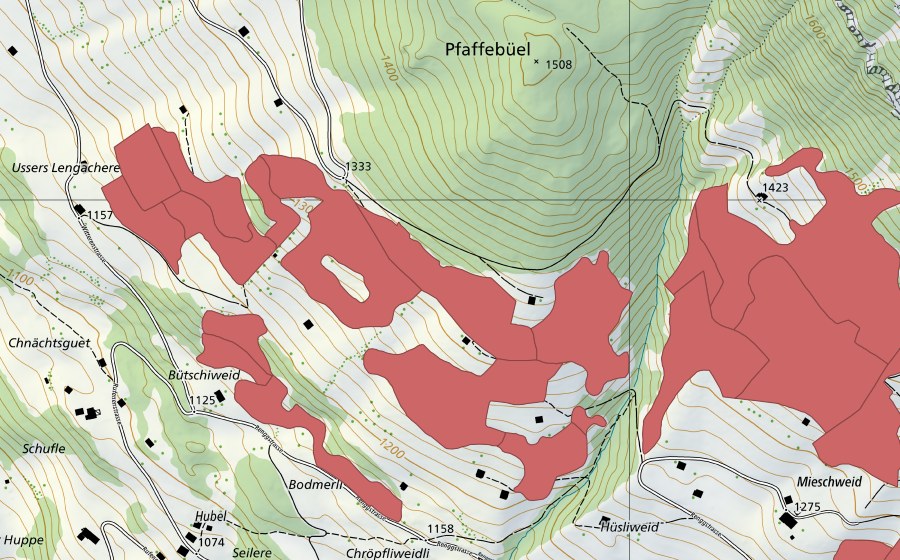 Landeskarte swisstopo mit dem Schutzperimeter von Lengachere (Trockenwiese)