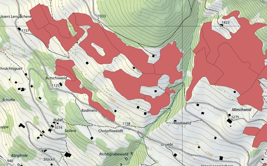 swisstopo national map showing the protected perimeter of Lengachere (Dry meadow)