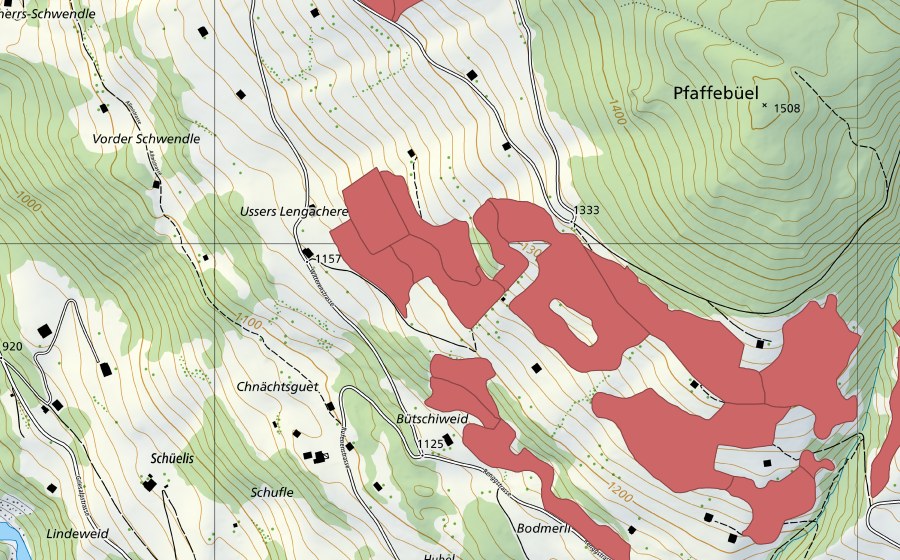 Landeskarte swisstopo mit dem Schutzperimeter von Lengachere (Trockenwiese)