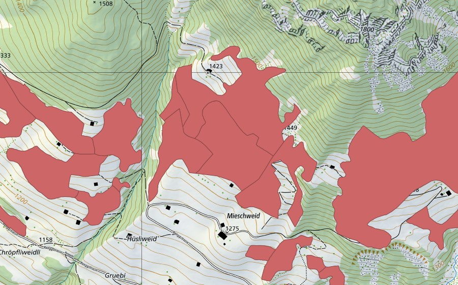 Landeskarte swisstopo mit dem Schutzperimeter von Lengachere (Trockenwiese)