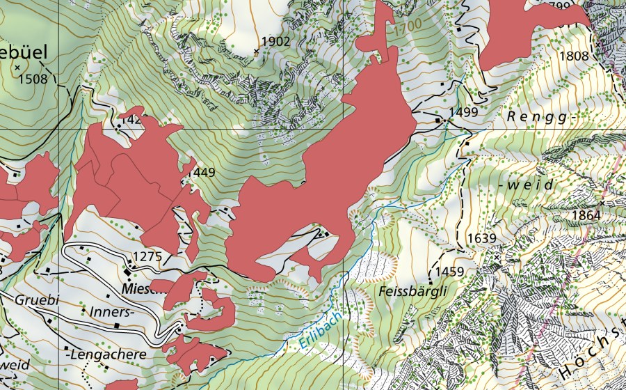 swisstopo national map showing the protected perimeter of Lengachere (Dry meadow)