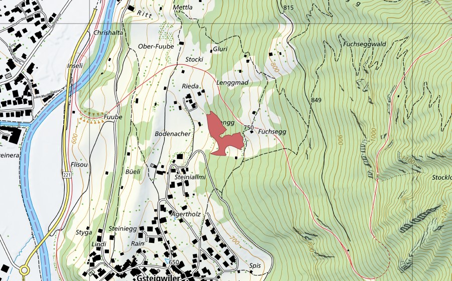 Carte nationale swisstopo avec le périmètre protégé de Lengg (Prairie sèche)