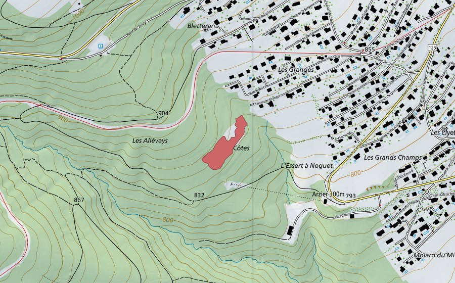 Landeskarte swisstopo mit dem Schutzperimeter von Les Allévays (Trockenwiese)