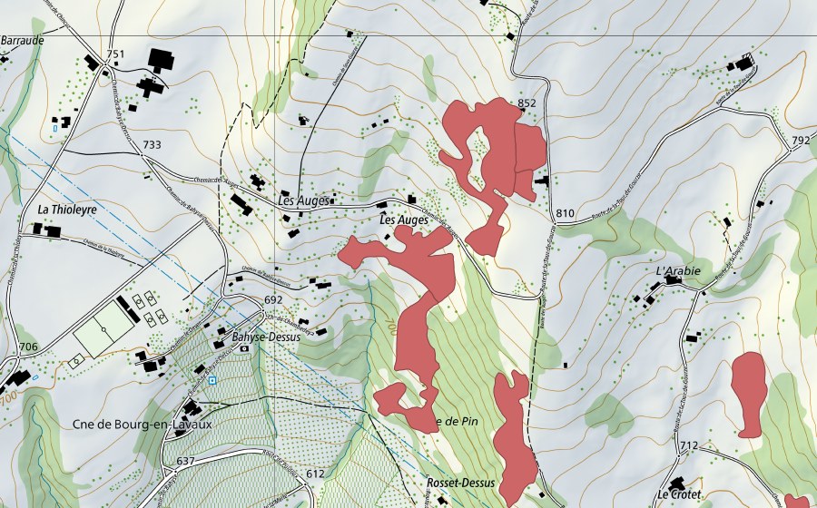 Landeskarte swisstopo mit dem Schutzperimeter von Les Auges (Trockenwiese)