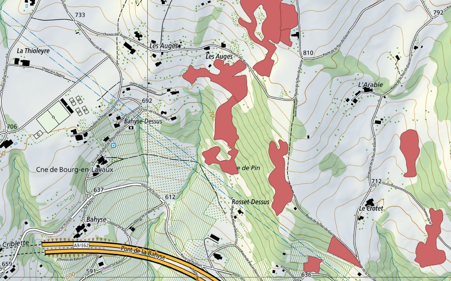 Landeskarte swisstopo mit dem Schutzperimeter von Les Auges (Trockenwiese)