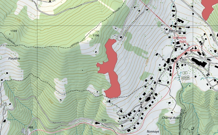 Carte nationale swisstopo avec le périmètre protégé de Les Avants (Prairie sèche)