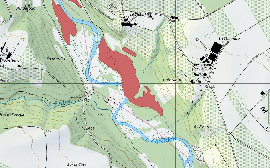 swisstopo national map showing the protected perimeter of Les Baillets (Dry meadow)
