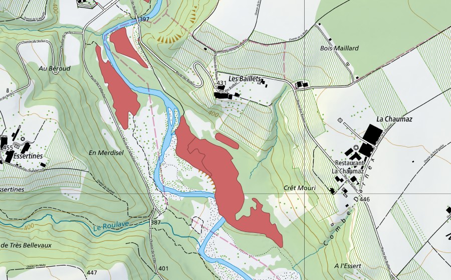 Landeskarte swisstopo mit dem Schutzperimeter von Les Baillets (Trockenwiese)