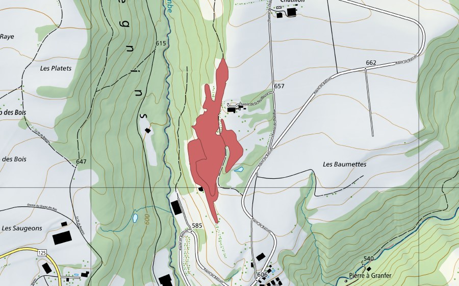 Landeskarte swisstopo mit dem Schutzperimeter von Les Baumettes (Trockenwiese)
