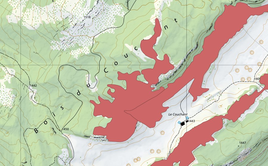 swisstopo national map showing the protected perimeter of Les Begnines (Dry meadow)