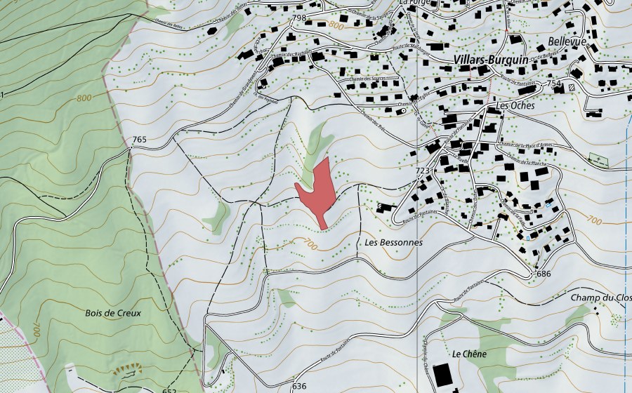 Landeskarte swisstopo mit dem Schutzperimeter von Les Bessonnes (Trockenwiese)