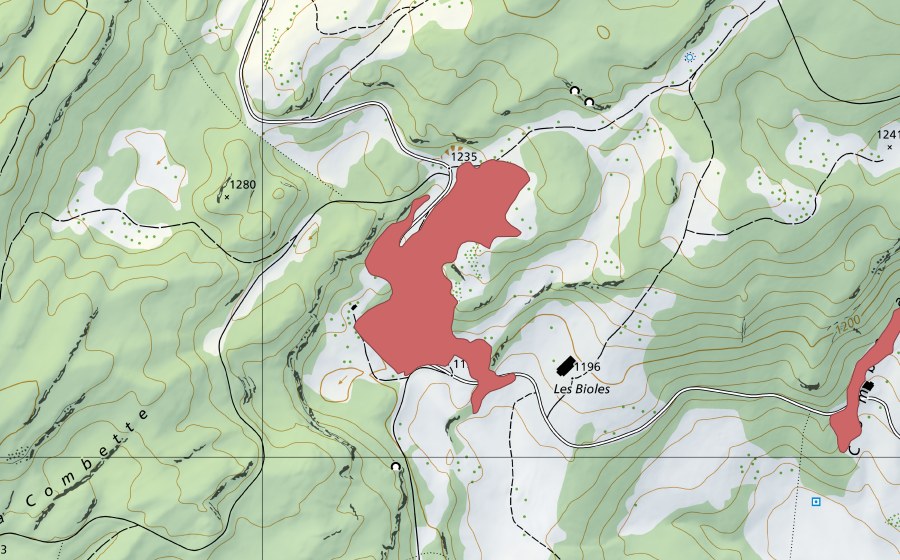 Landeskarte swisstopo mit dem Schutzperimeter von Les Bioles (Trockenwiese)