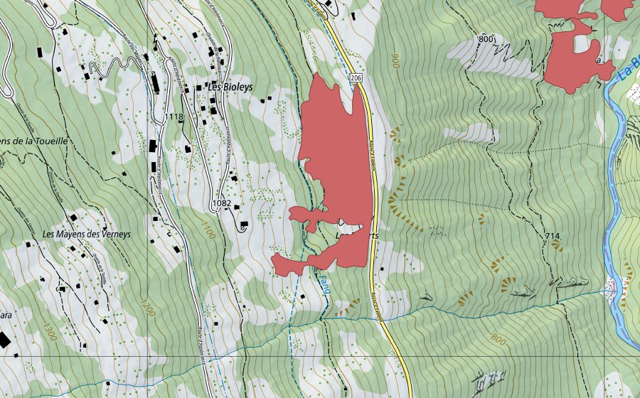 Landeskarte swisstopo mit dem Schutzperimeter von Les Bioleys (Trockenwiese)