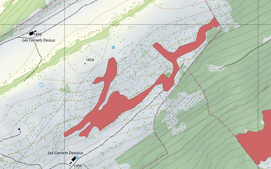 Landeskarte swisstopo mit dem Schutzperimeter von Les Cernets Dessous (Trockenwiese)