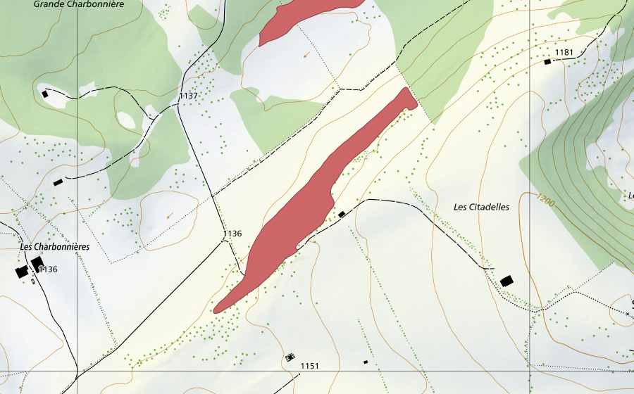 swisstopo national map showing the protected perimeter of Les Charbonnières (Dry meadow)