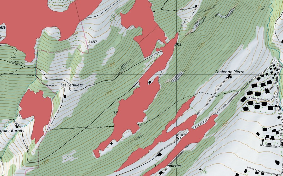 Landeskarte swisstopo mit dem Schutzperimeter von Les Chenolettes (Trockenwiese)