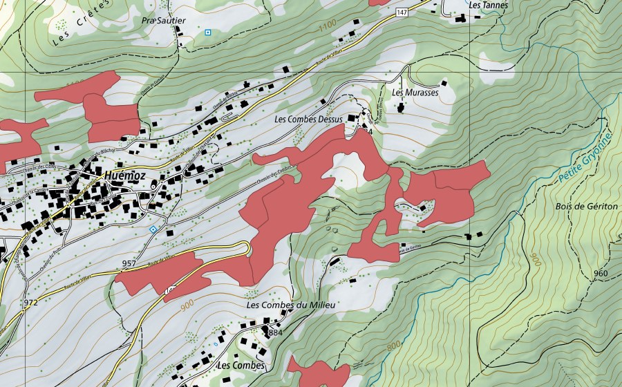 Landeskarte swisstopo mit dem Schutzperimeter von Les Combes du Milieu (Trockenwiese)
