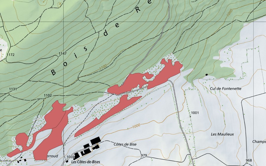 Carte nationale swisstopo avec le périmètre protégé de Les Côtes (Prairie sèche)