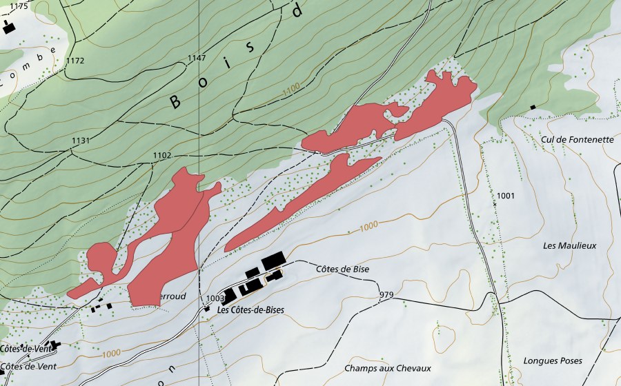 swisstopo national map showing the protected perimeter of Les Côtes (Dry meadow)