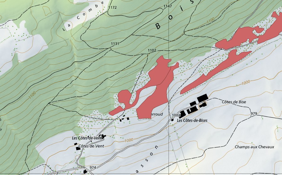 Landeskarte swisstopo mit dem Schutzperimeter von Les Côtes (Trockenwiese)