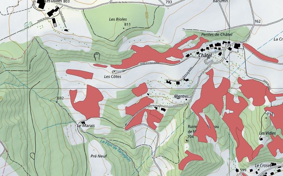 Landeskarte swisstopo mit dem Schutzperimeter von Les Côtes (Trockenwiese)