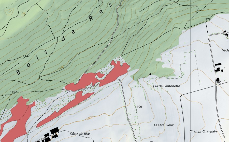 swisstopo national map showing the protected perimeter of Les Côtes (Dry meadow)