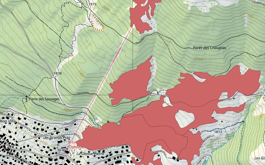 Landeskarte swisstopo mit dem Schutzperimeter von Les Fénis (Trockenwiese)