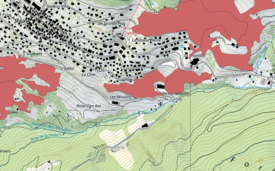 swisstopo national map showing the protected perimeter of Les Fénis (Dry meadow)